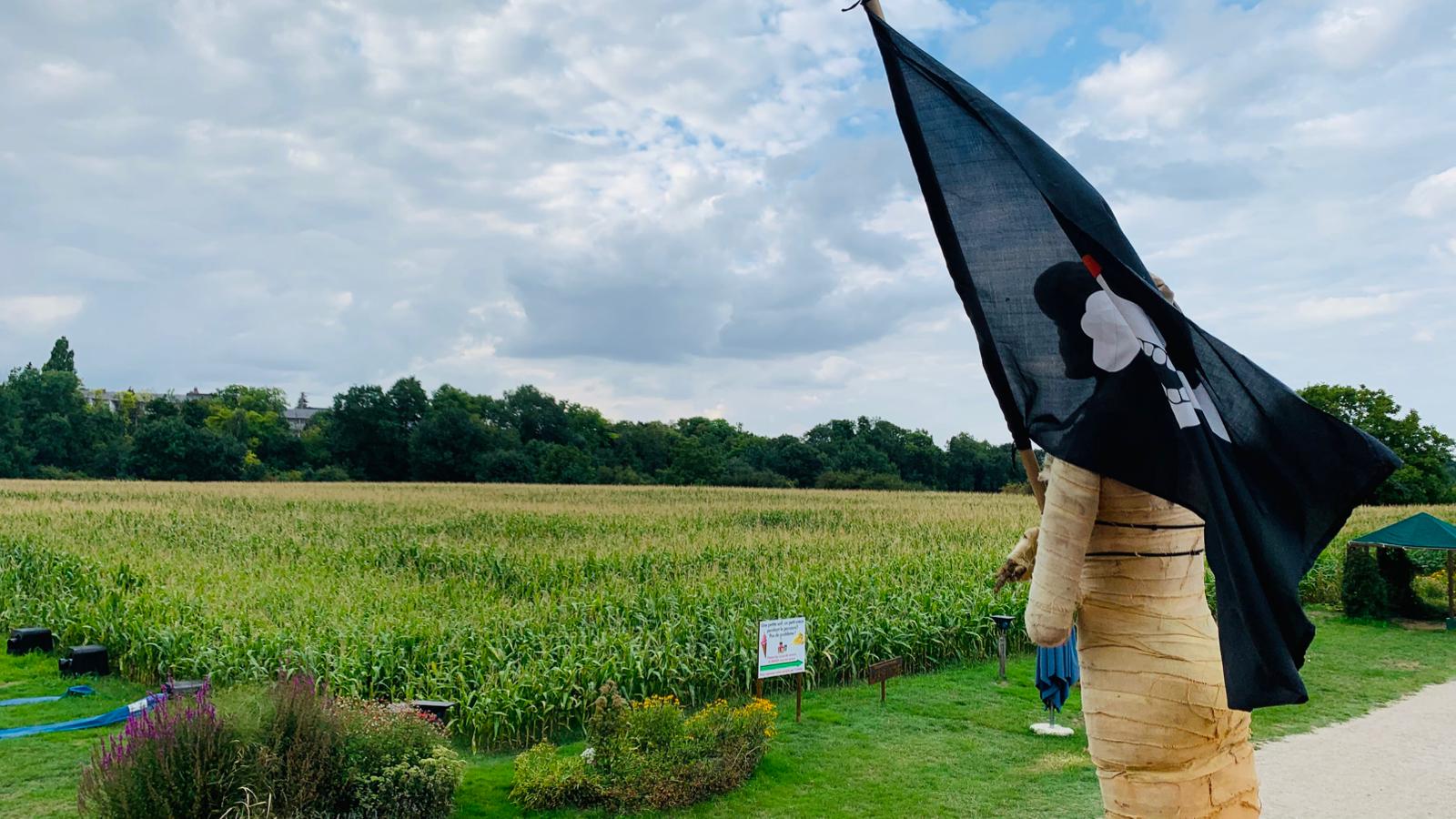 Labyrinthe de Beaugency